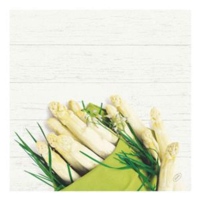 SERV BIO 40X40 ASPARAGUS X60