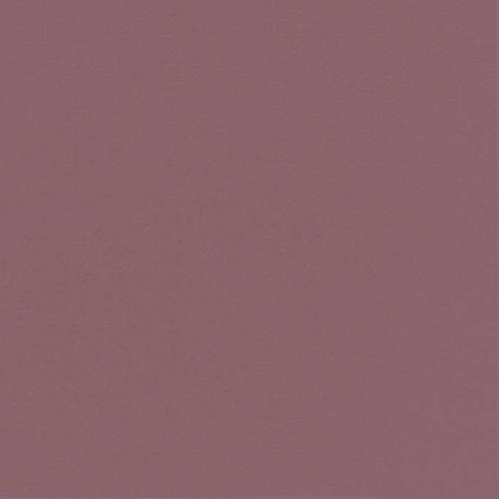 SERV BIO 40X40 PRUNE X60