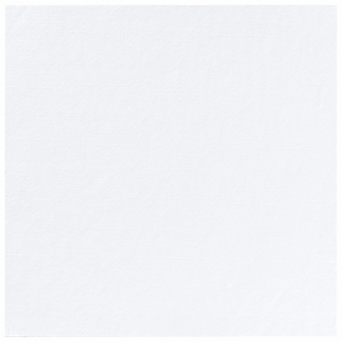 SERV 48X48 BLANC X60