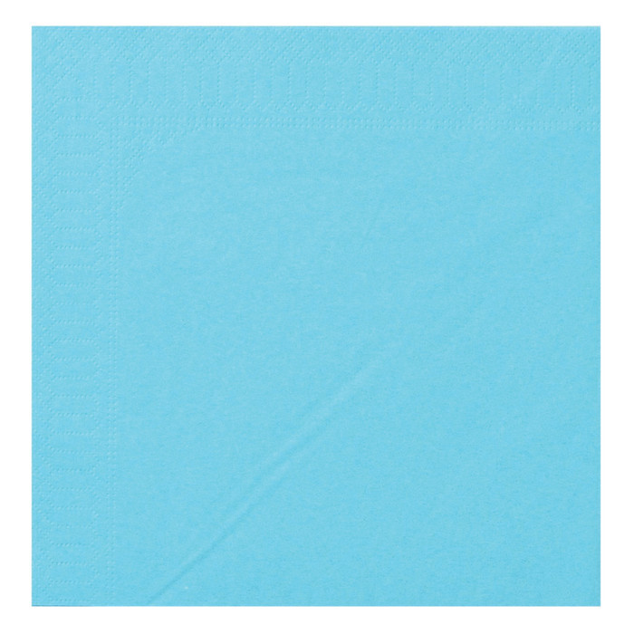 SERV 2P 20X20 TURQUOISE X100