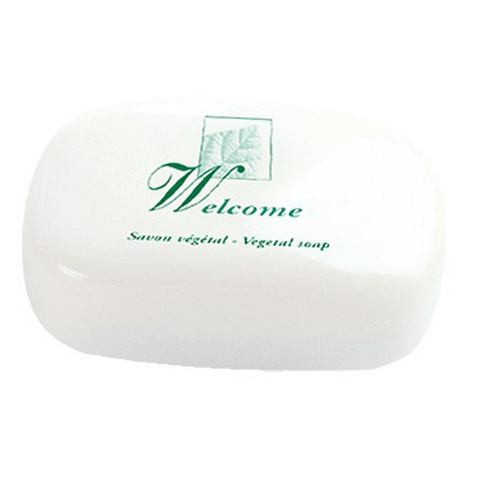 SAVON 20G X360 PLASTIQUE