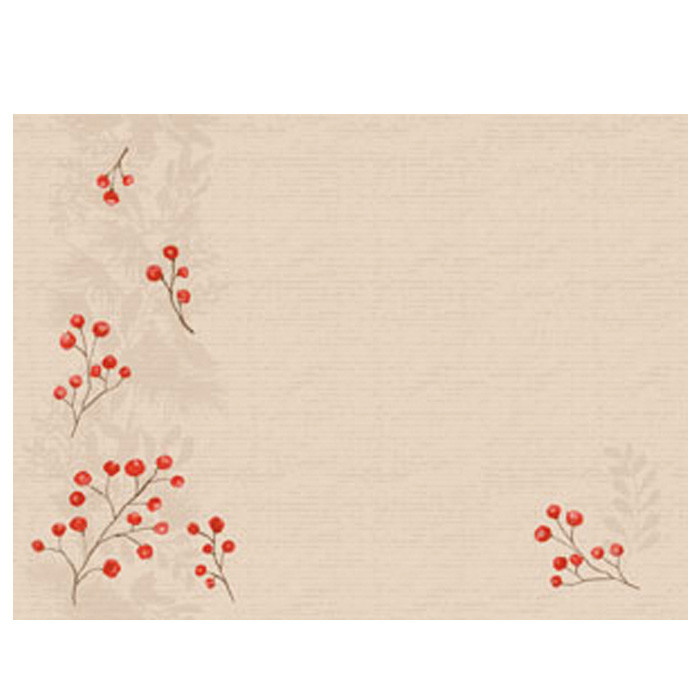 SET PAP 30X40 KRAFT BERRIEX100