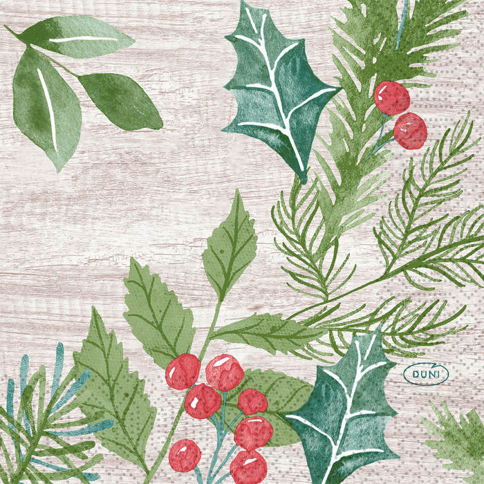 SERV 3P 24X24CM WINTER GREEX50