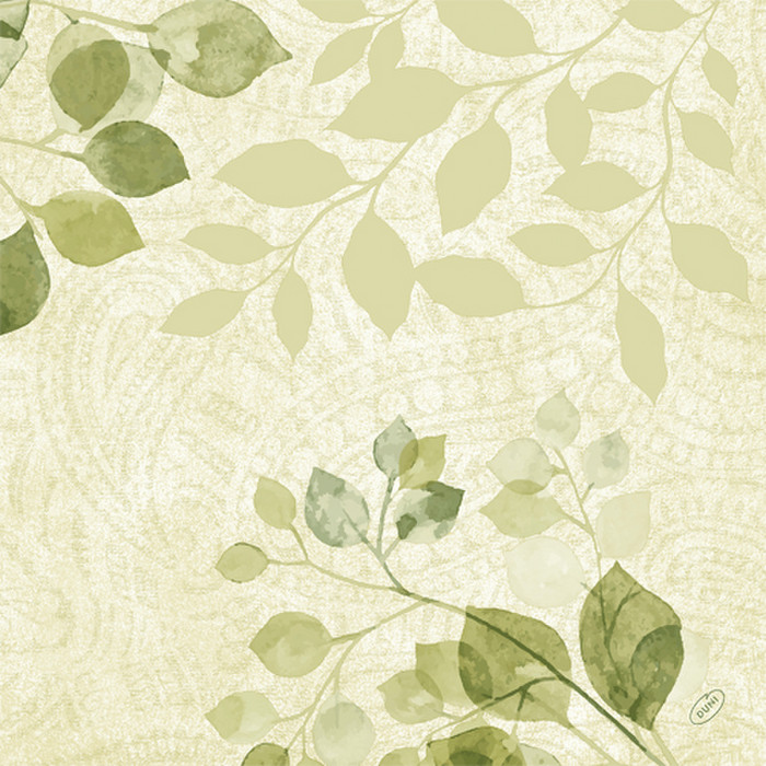 SERV BIO 40X40 PAISLEY LEA X60