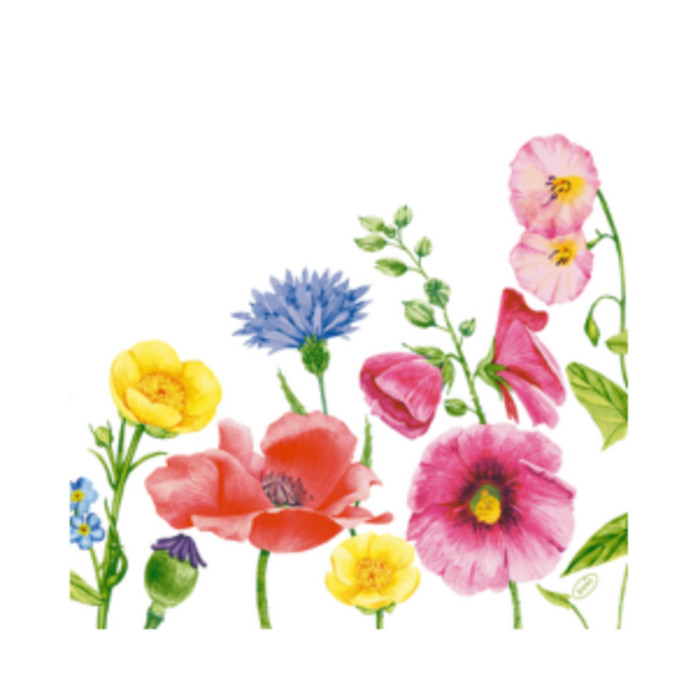 SERV BIO 40X40 FLOWY MEADO X60